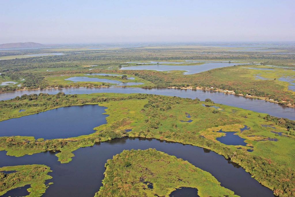 pescaria pantanal rio paraguai pesca