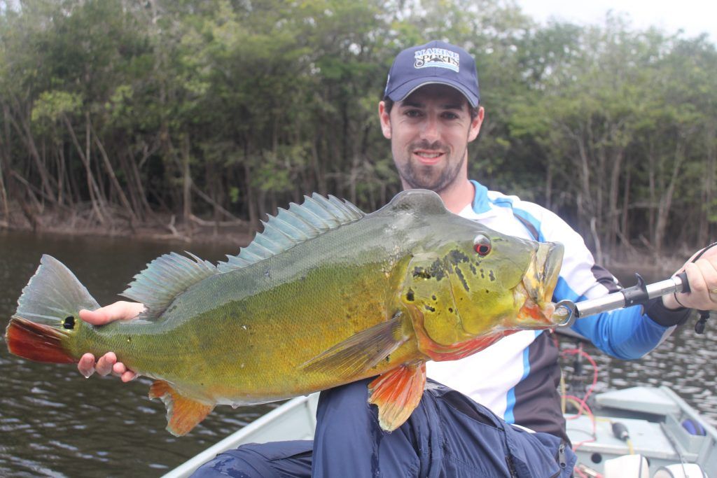 pacote pesca amazonia